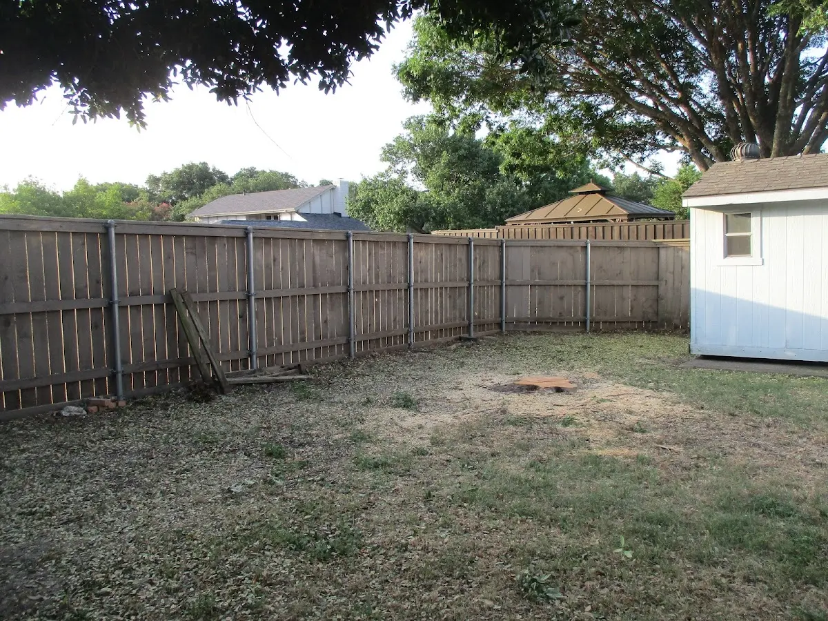 Cleared yard after professional tree removal in Salford