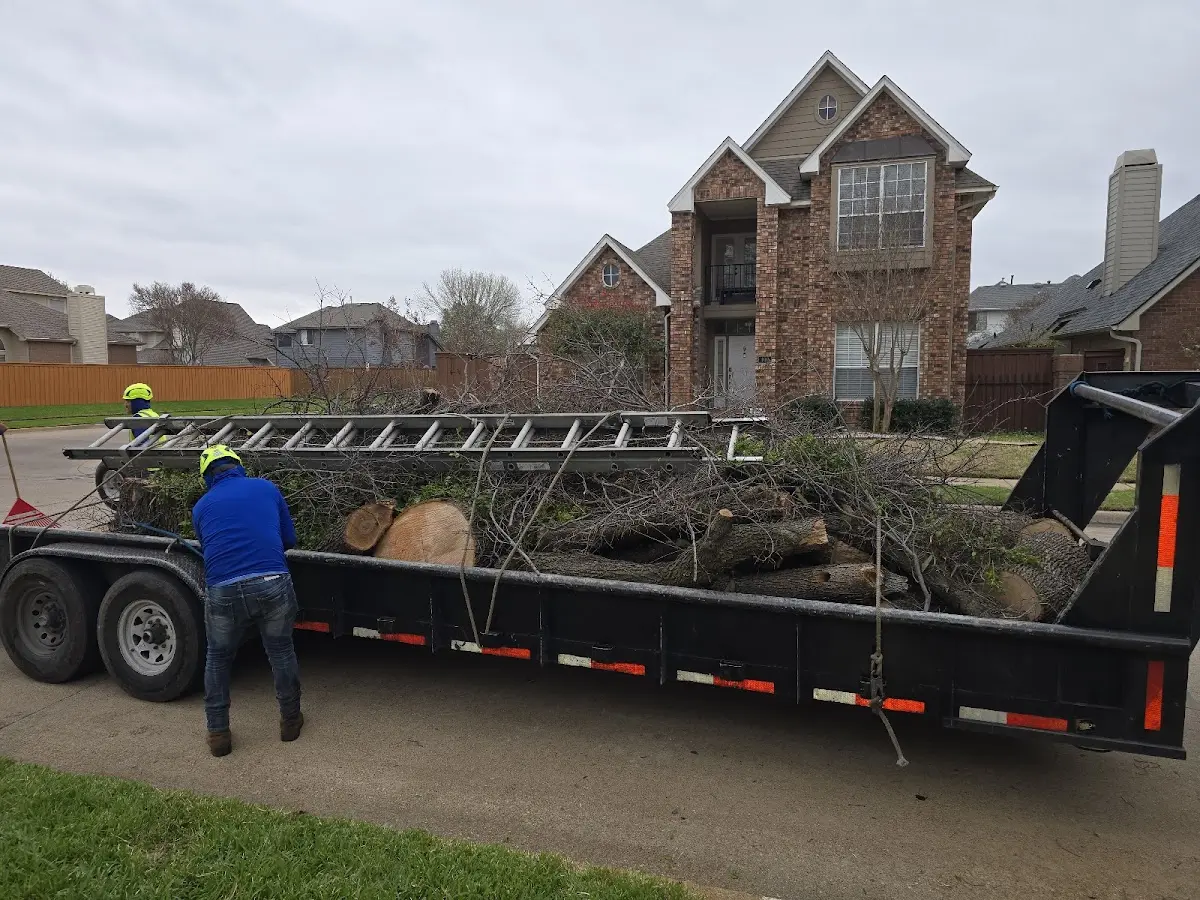 Expert Tree Removal with proper safety equipment in Salford